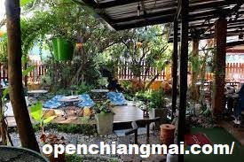 10 Restoran Luar Biasa di Chiang Mai
